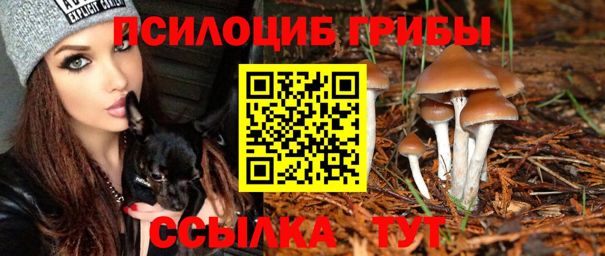 Галлюциногенные грибы прущие грибы Осинники