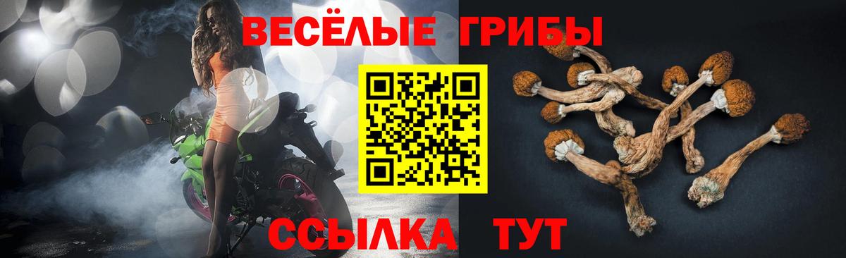 Псилоцибиновые грибы Cubensis  Галлюциногенные грибы ЛСД  Вход с VPN  Осинники 